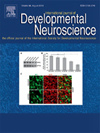 INTERNATIONAL JOURNAL OF DEVELOPMENTAL NEUROSCIENCE雜志封面